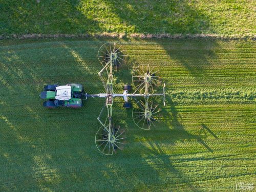 DJI 0242