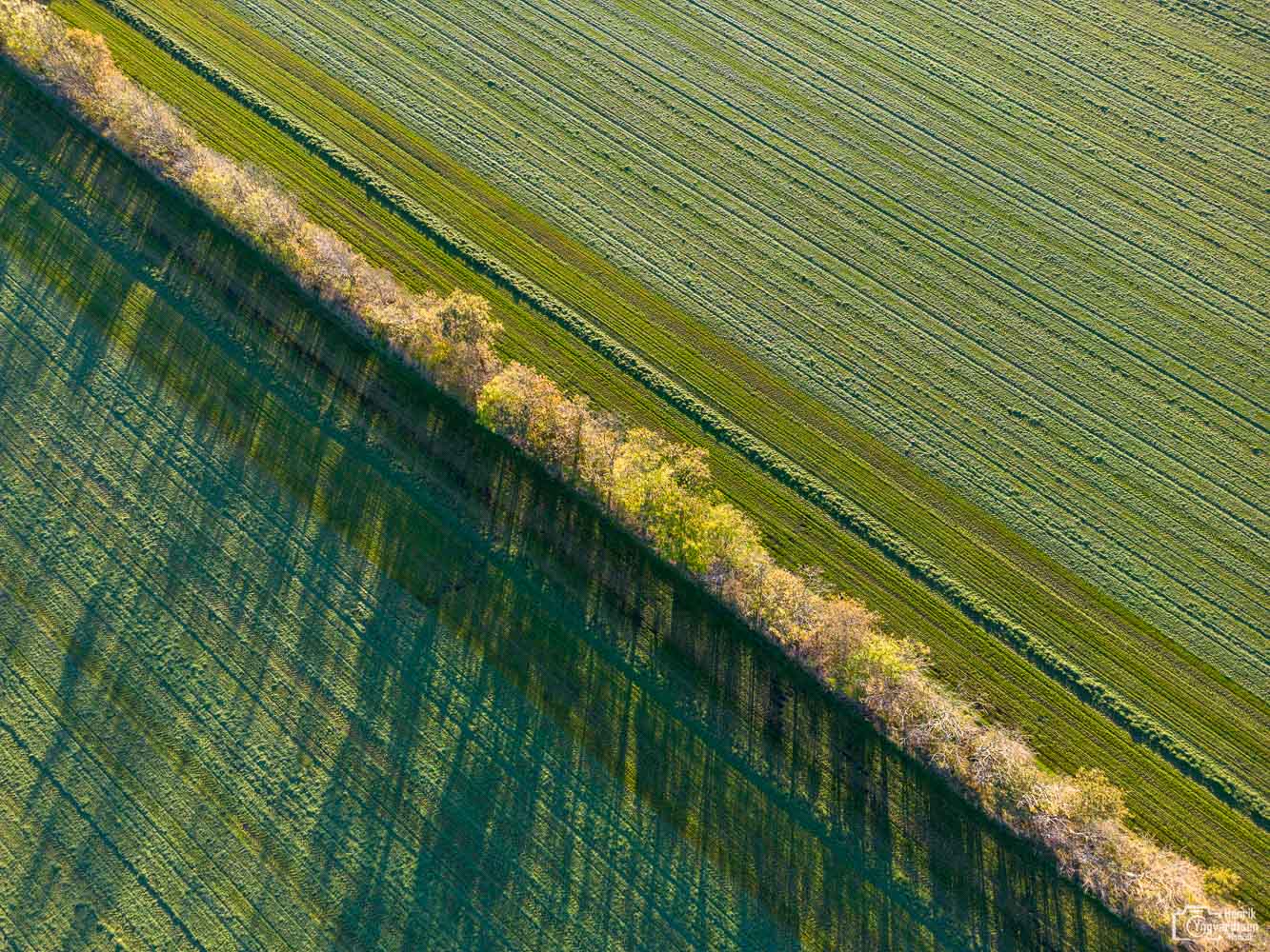 DJI 0263