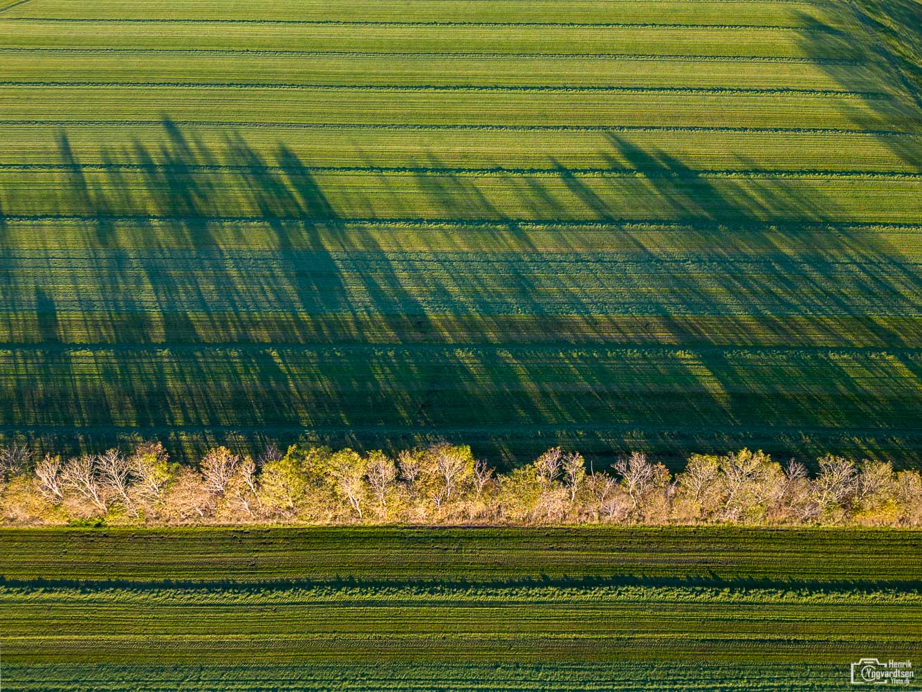 DJI 0296 HDR