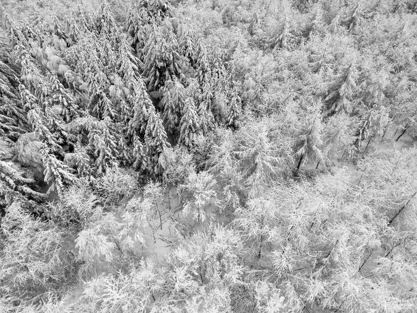 Sne over Sønderjylland 2022 52 DJI 0525
