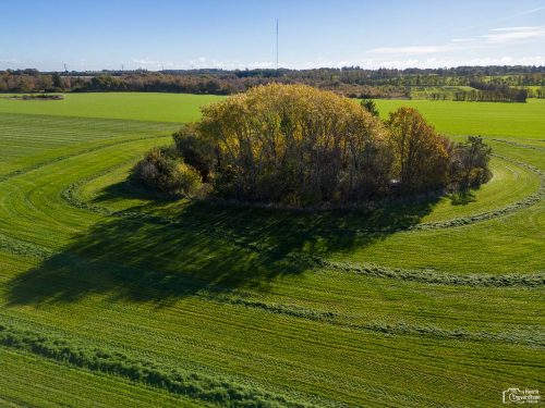 Efteråret set fra oven 2022 27 Drone 221019 025 HDR