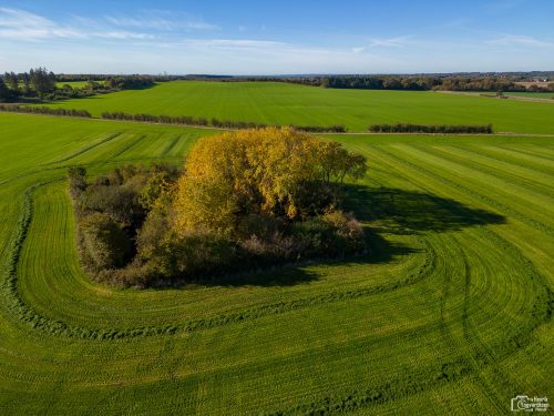 Efteråret set fra oven 2022 28 Drone 221019 030 HDR