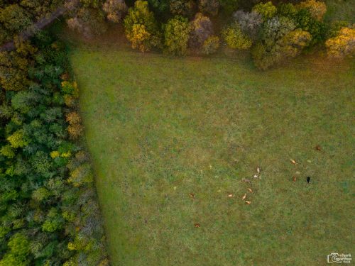 Efteråret set fra oven 2022 9 Drone 221025 041 HDR