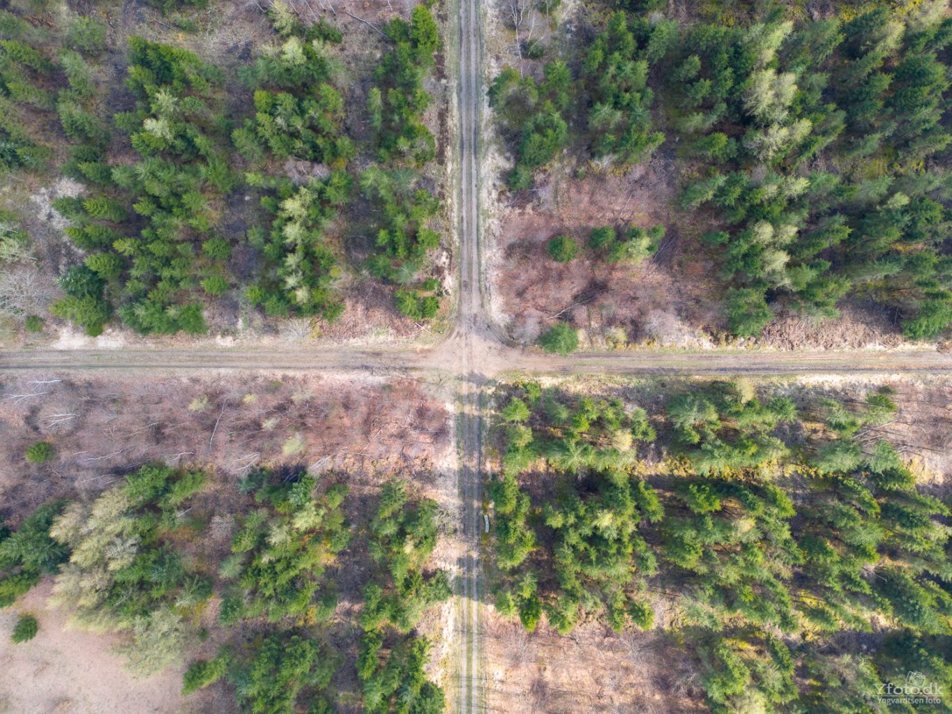 Drone 230415 017