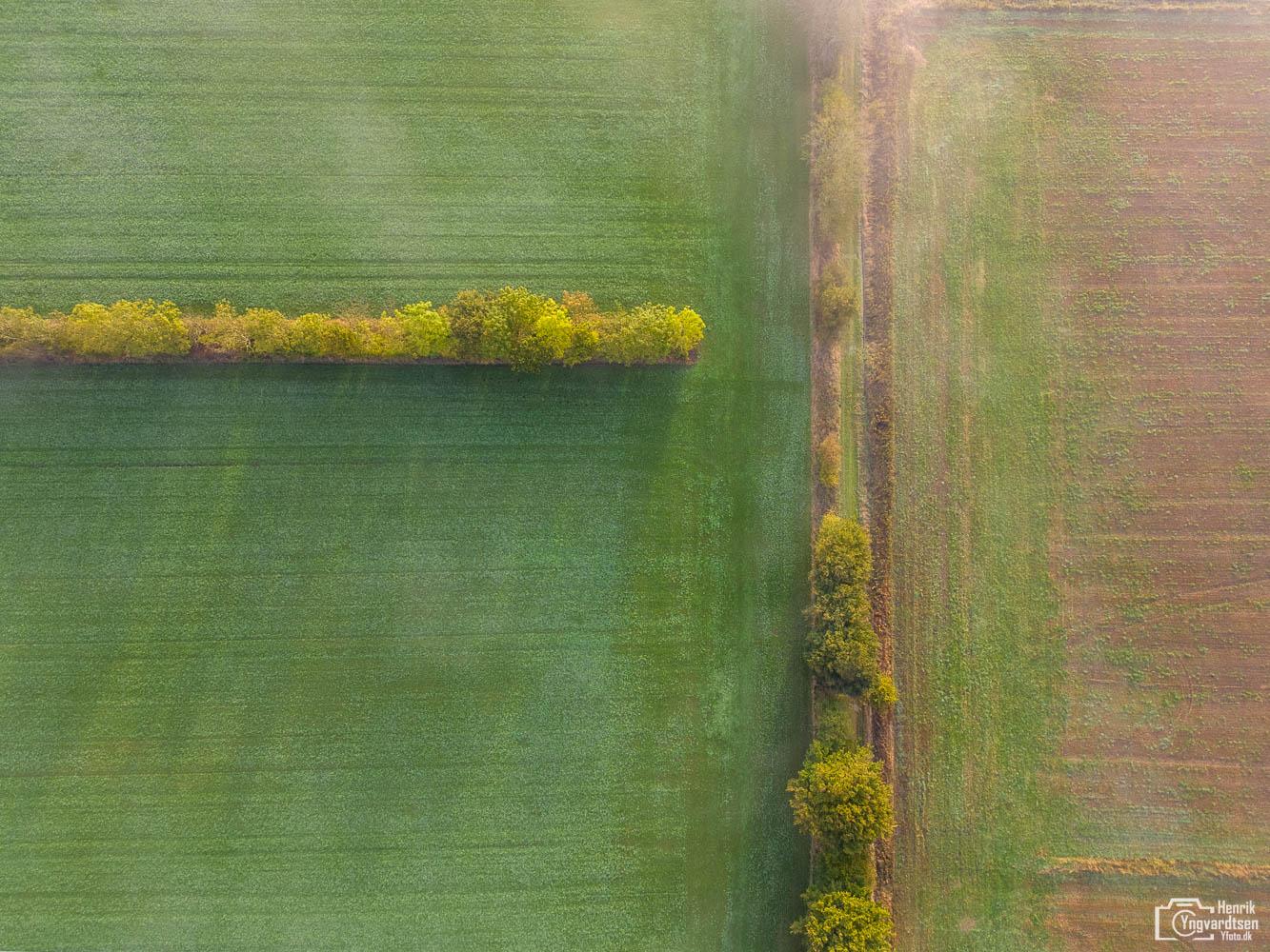 Taage220928 105 HDR